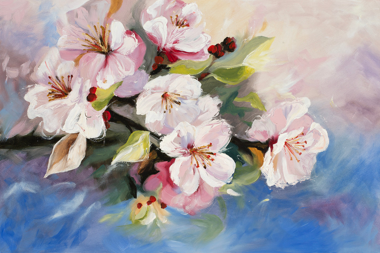 Cherry Blossoms