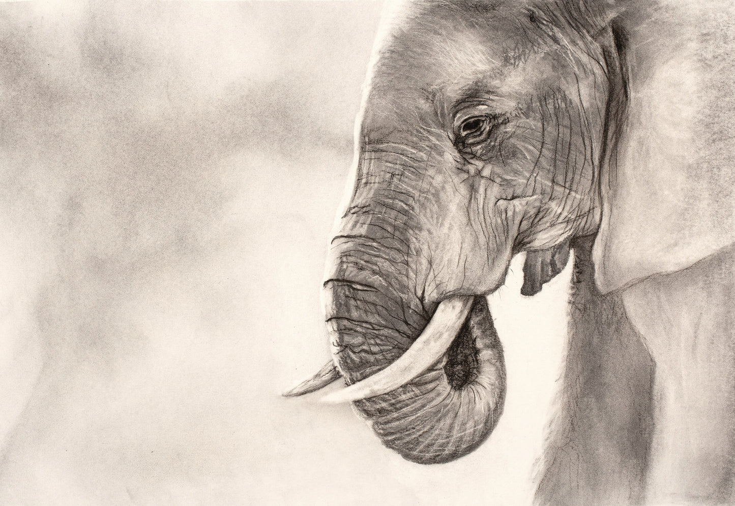 Elephant Mama