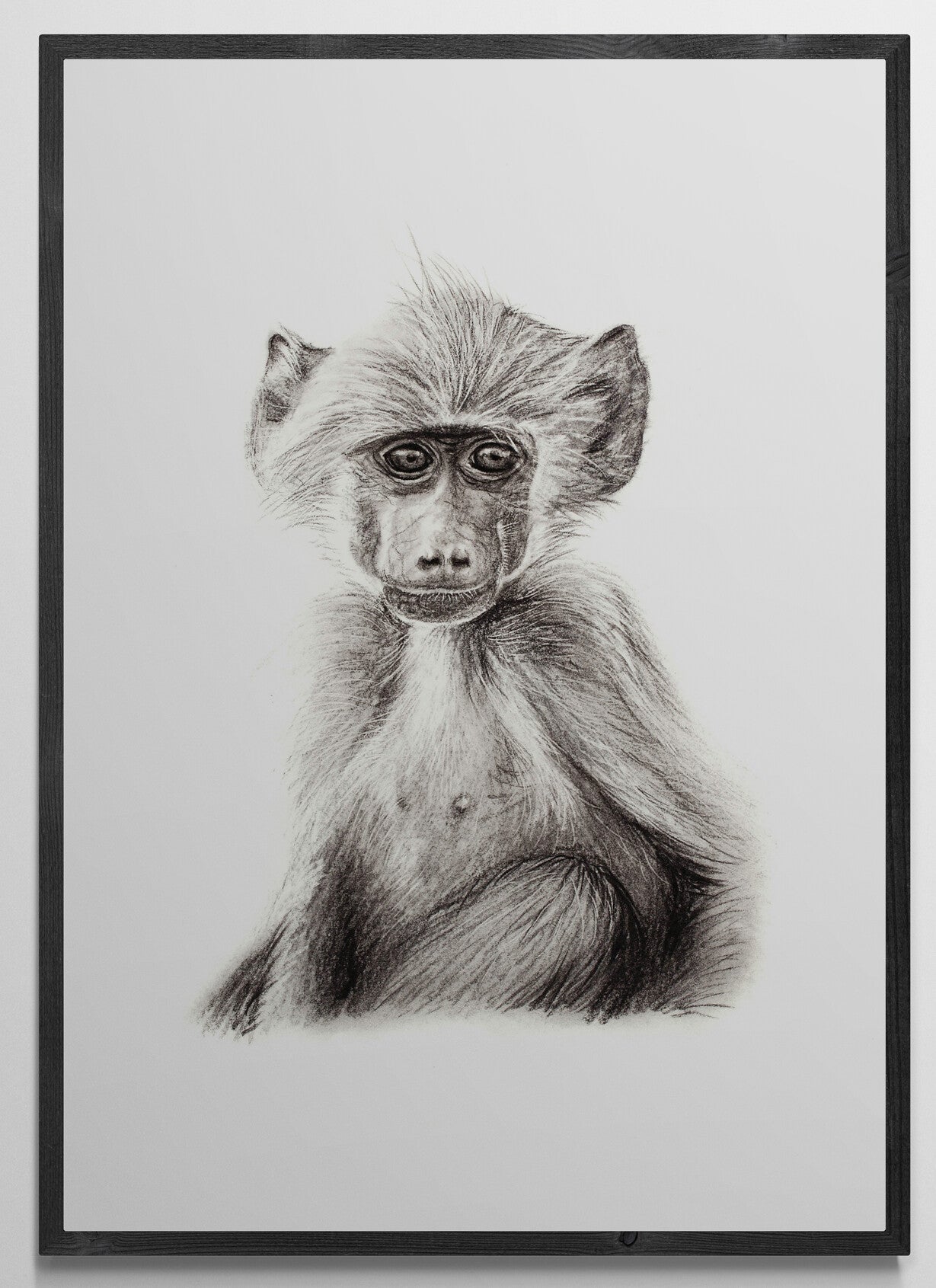 Baby Monkey