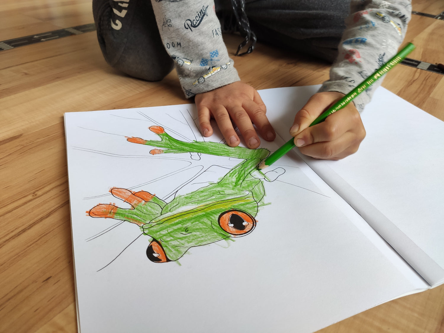 Wildlife Colouring in book