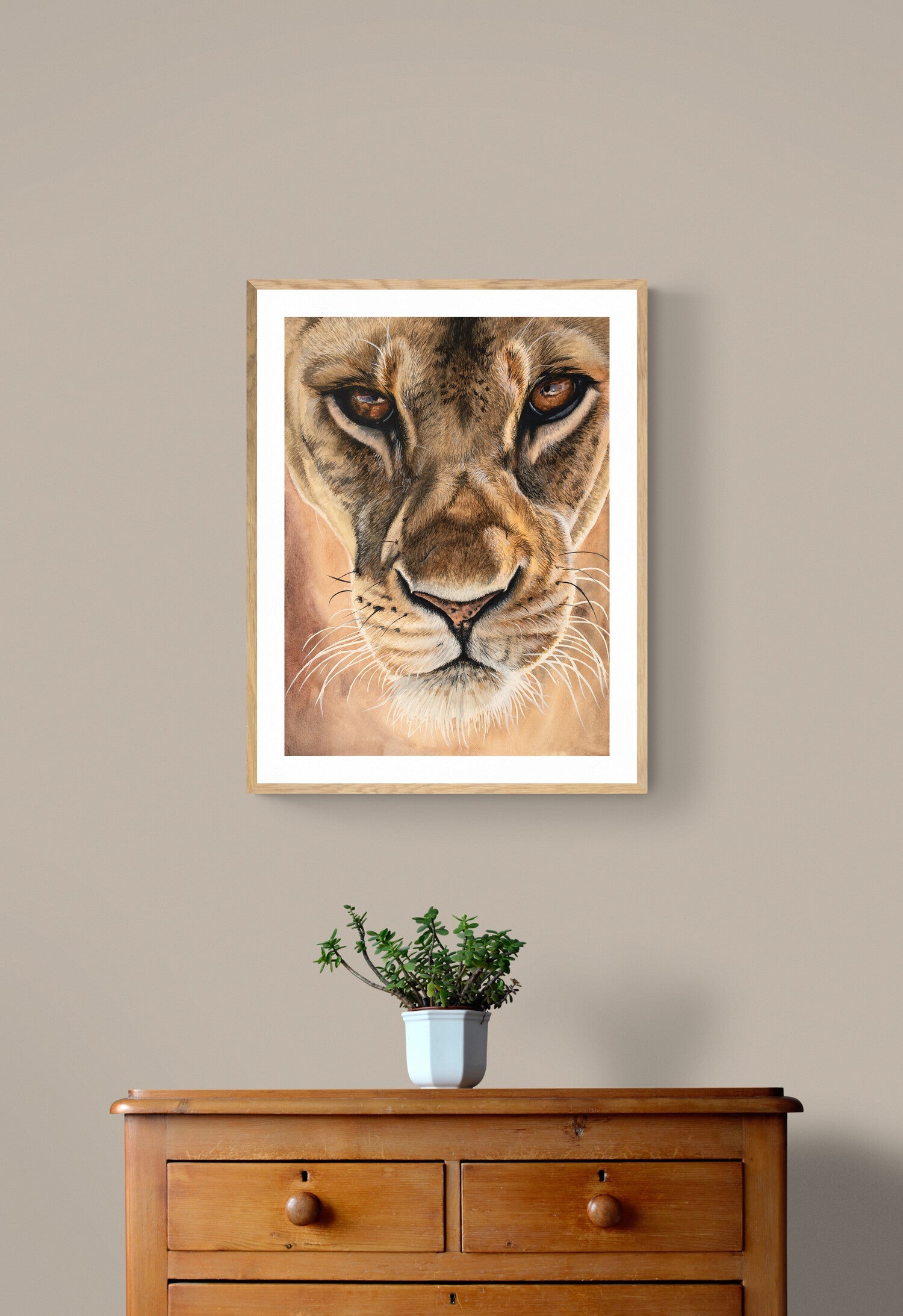 African Animals