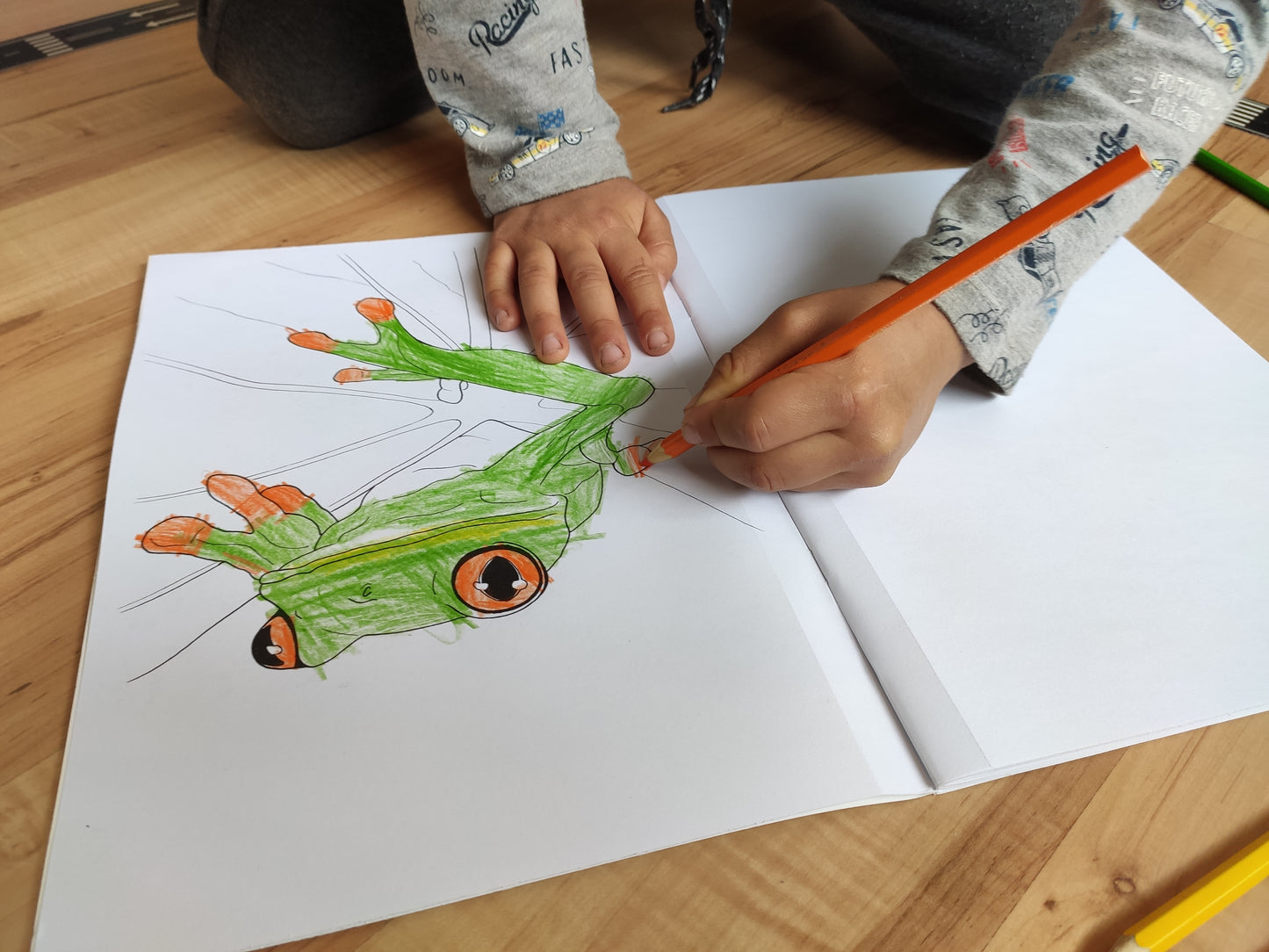 Wildlife colouring in book
