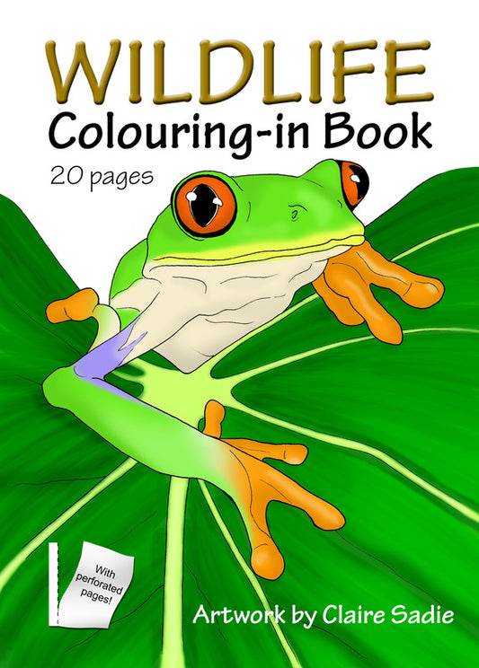 Wildlife colouring in book