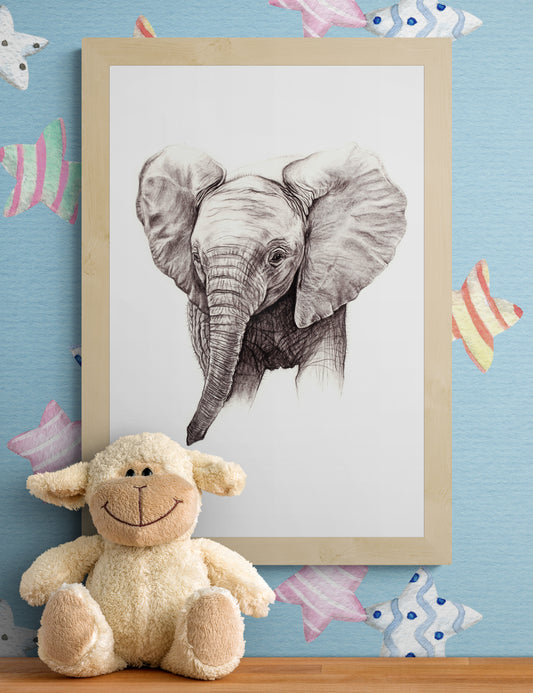 Baby Elephant