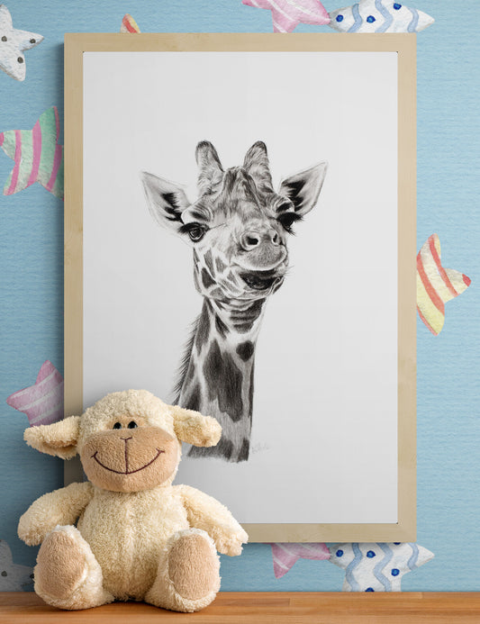Baby Giraffe