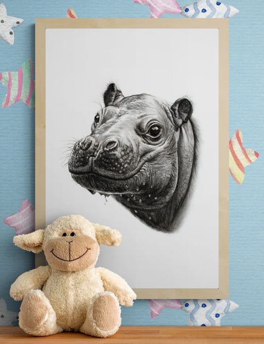 Baby Hippopotamus