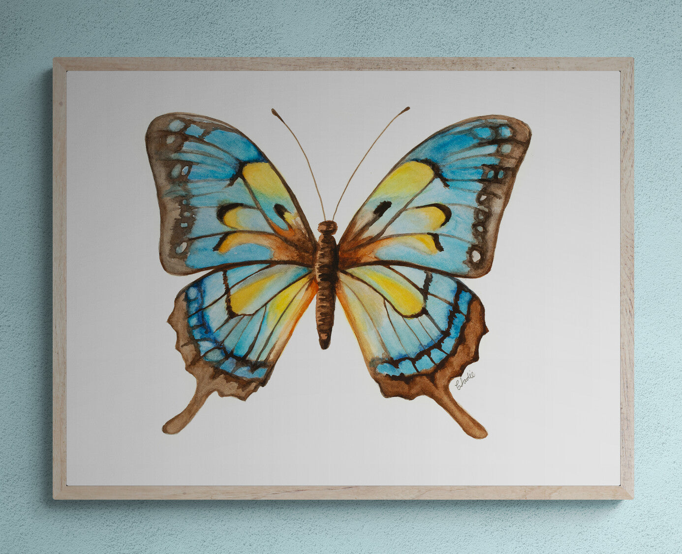 Butterfly