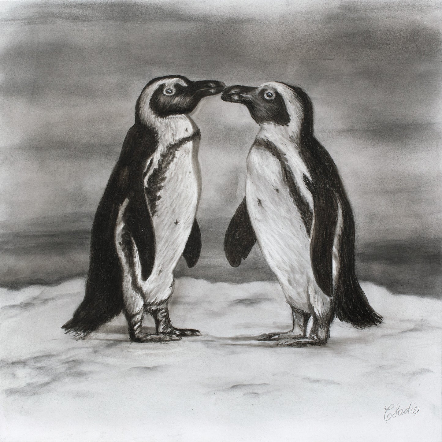 Penguin Love