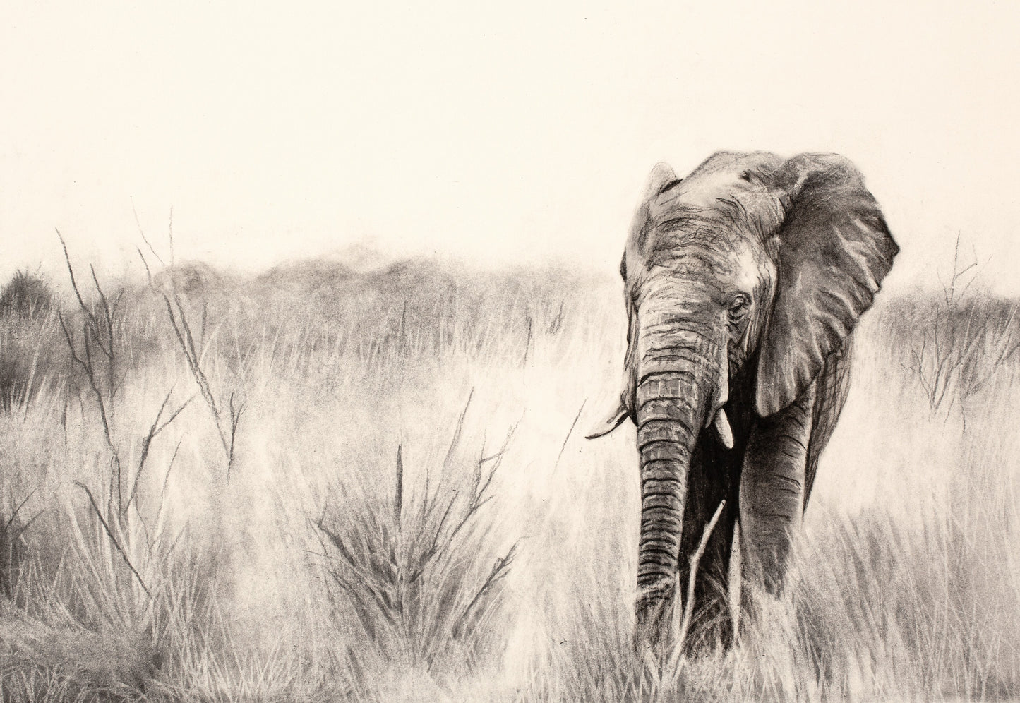 Elephant in the Bush