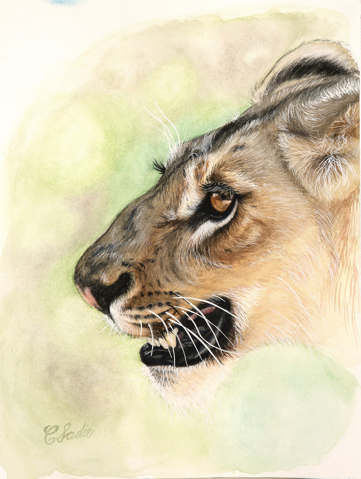 Lioness on the Hunt