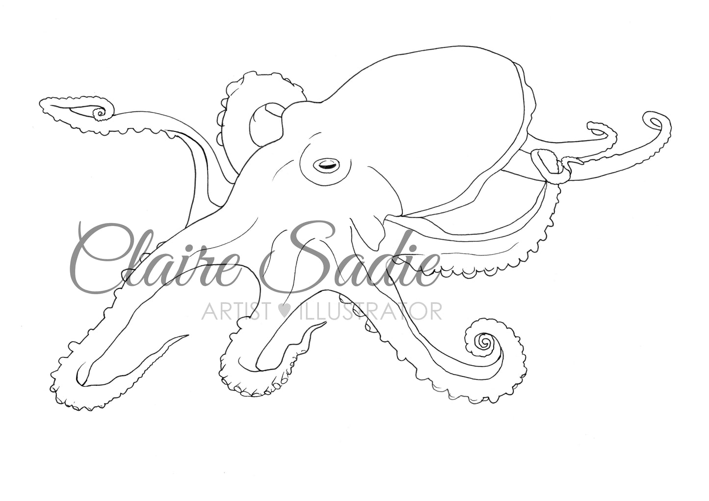 Wildlife colouring in book